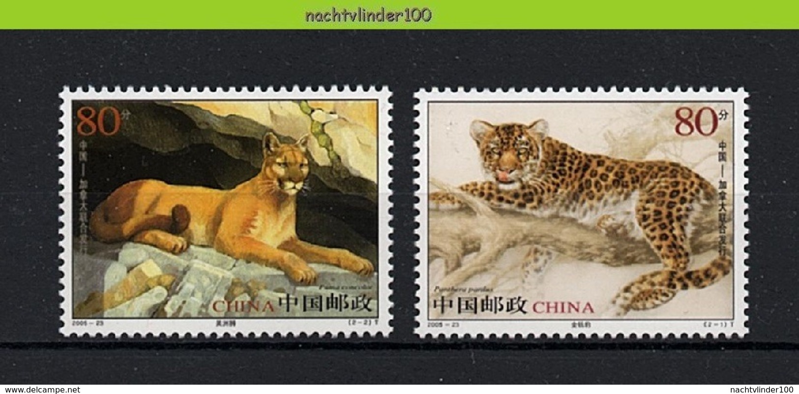 Nff006 FAUNA WILDE KAT ROOFKAT ZOOGDIEREN PUMA PANTHER WILD CAT MAMMALS KATZEN FELINS CHINA 2005 PF/MNH - Felinos