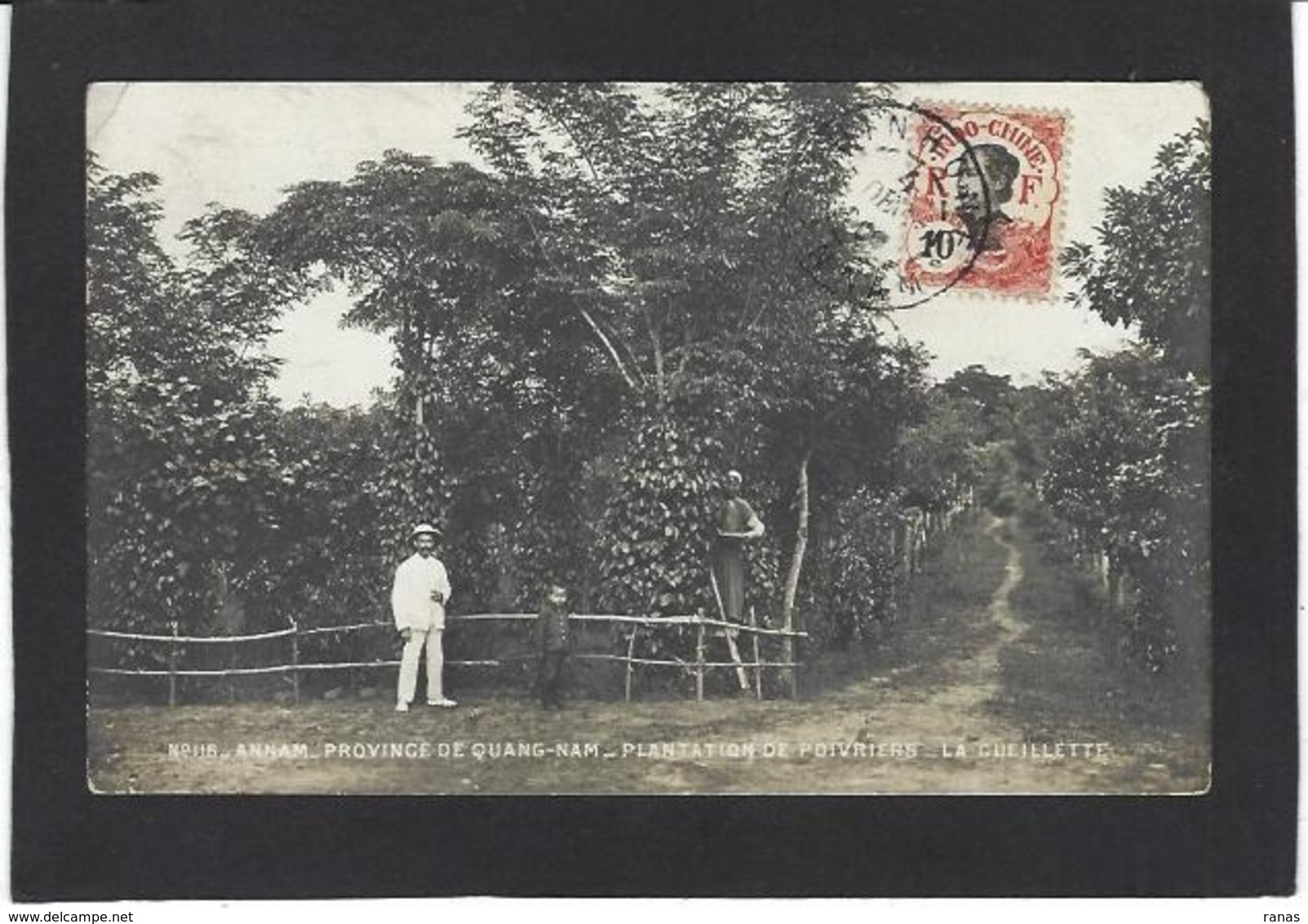 CPA Annam Asie Indochine Carte Photo RPPC Circulé Quang Nam - Vietnam