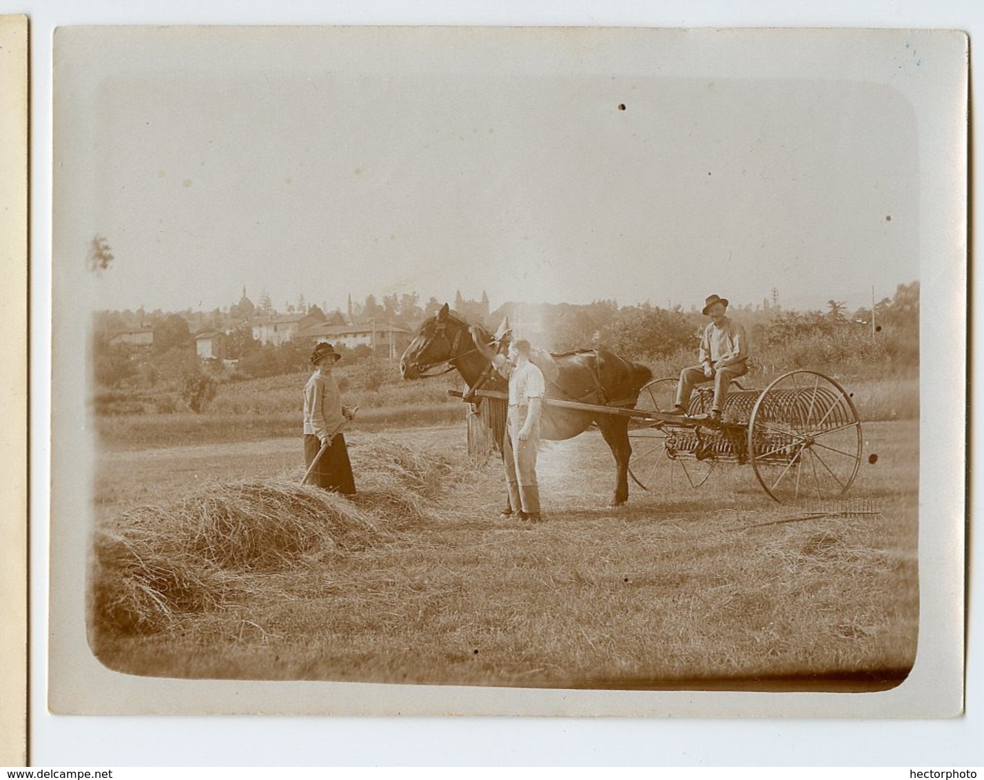 Paysan Campagne Cheval Attelage Foin Recolte Beauty 20s Materiel Agricole Herse Moisonneuse Ancienne Charrue Cheval - Métiers