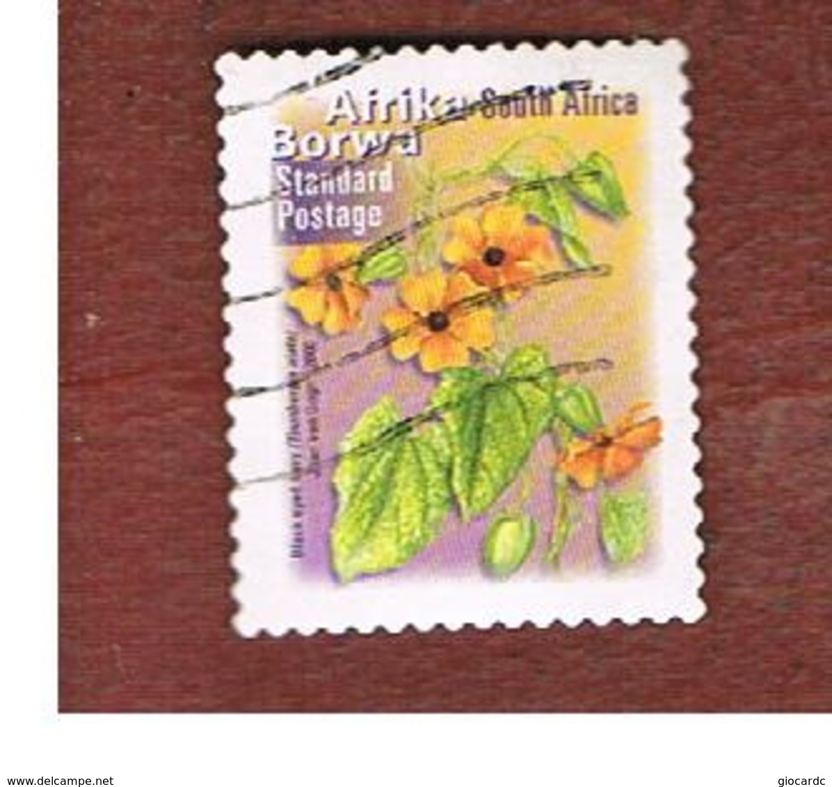 SUD AFRICA (SOUTH AFRICA) - SG 1240   -   2000  FLORA: BLACK  EYED SUSY    (AFRIKA BORWA ) - USED - Usados