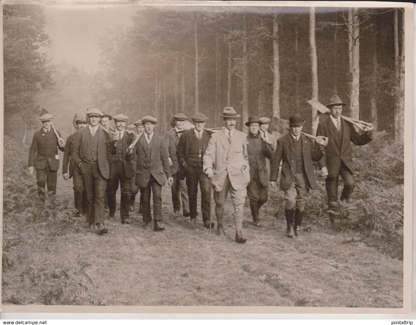 ENGLAND SELF SUPPORTING FOR TIMBER BROCKENHURST SCHOOL  Xylology, Forestry 20*15CM Fonds Victor FORBIN 1864-1947 - Profesiones