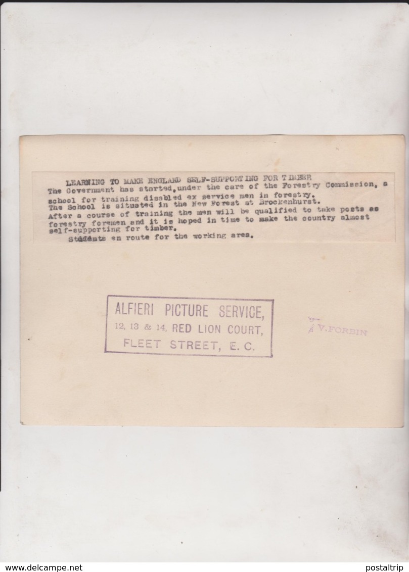 ENGLAND SELF SUPPORTING FOR TIMBER BROCKENHURST SCHOOL  Xylology, Forestry 20*15CM Fonds Victor FORBIN 1864-1947 - Profesiones