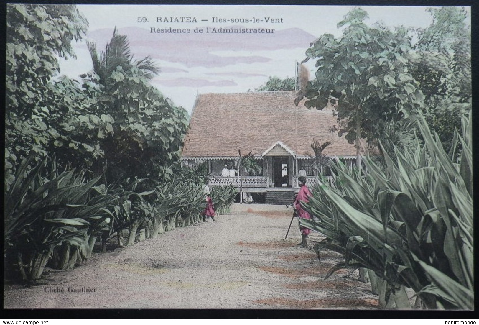 Tahiti Postcard. 59. Raiatea. Residence De L'Administrateur  (Iles Sous Le Vent) - Tahiti