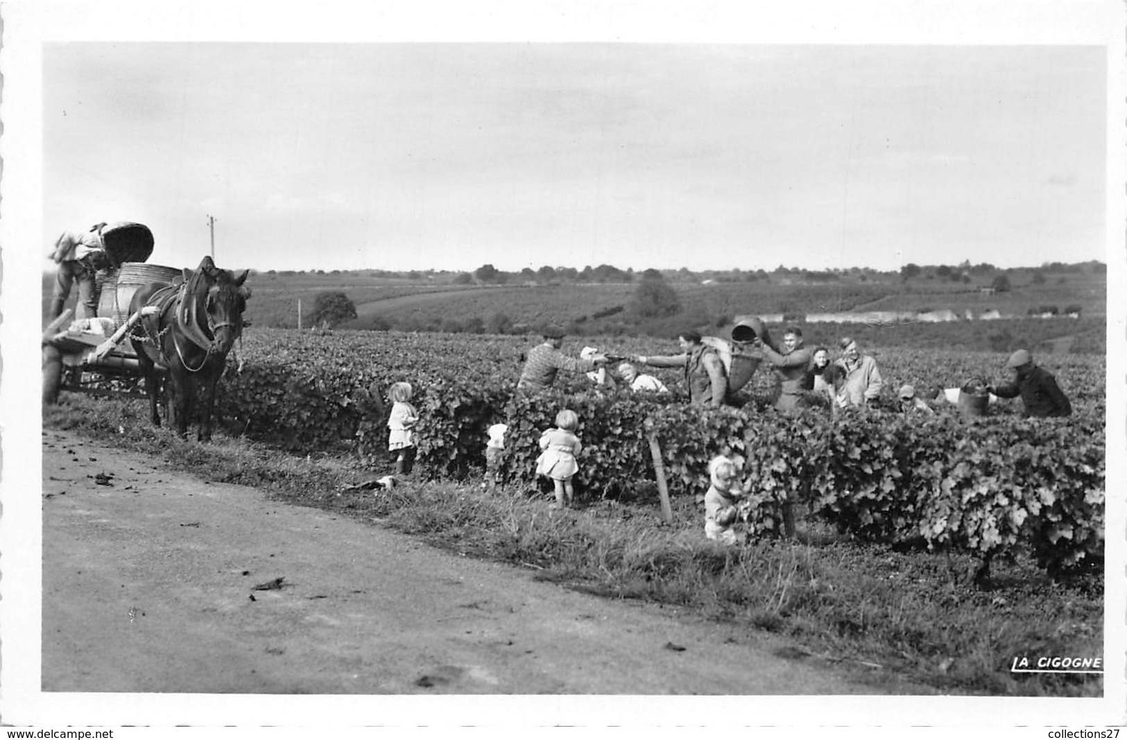 37-VOUVRAY-LES-VINS- LES VENDANGES - Vouvray