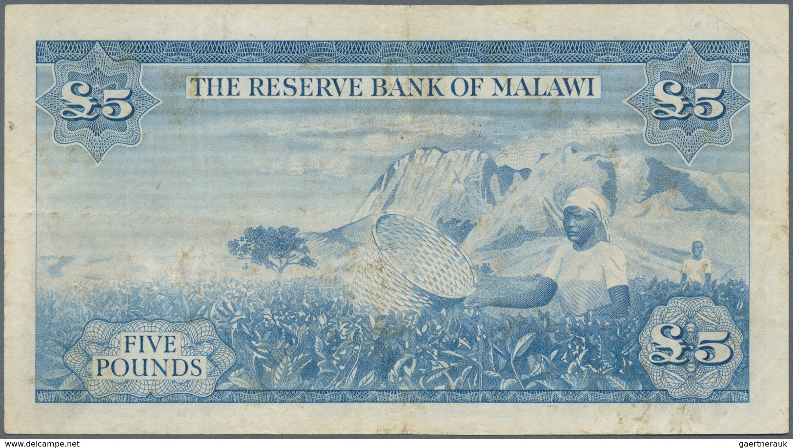 Malawi: Reserve Bank Of Malawi 5 Pounds L.1964, P.4, Very Popular And Rare Banknote, Still Great Con - Malawi