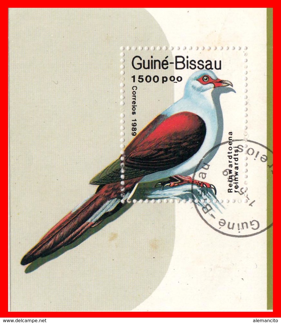 GUINEA BISSAU PALOMA Y AVES - Guinea-Bissau