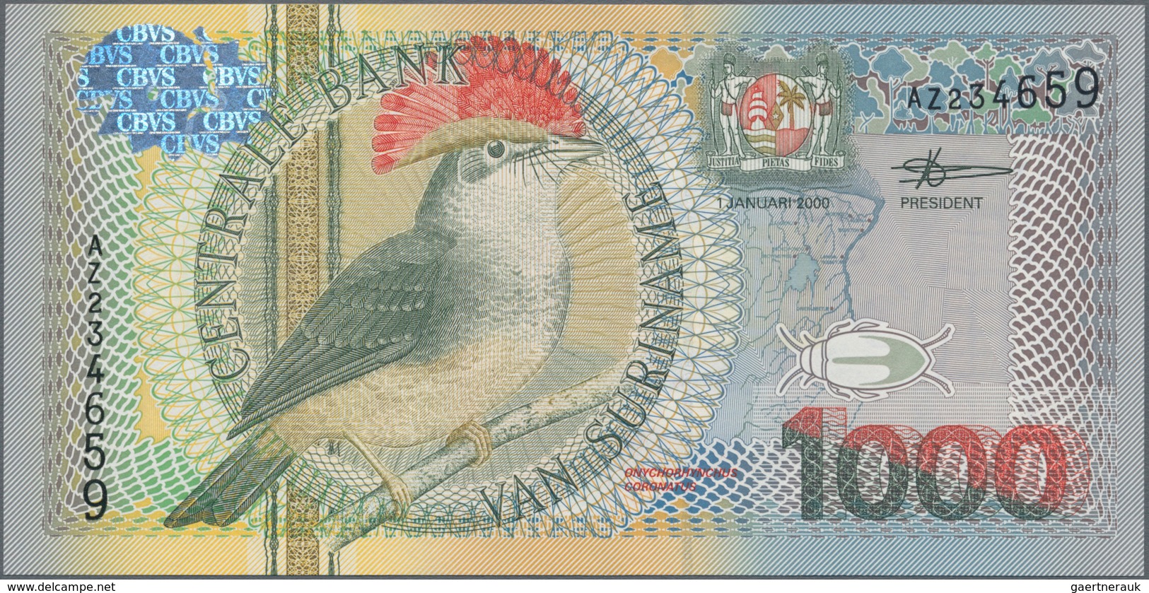 Suriname: Central Bank Van Suriname Set With 3 Banknotes Of The Bird Series 2000 With 100, 500 And 1 - Suriname