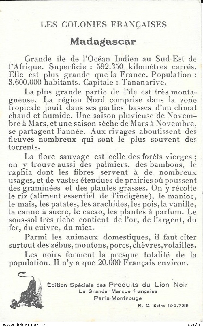 Les Colonies Françaises: Madagascar - Publicité: Edition Des Produits Du Cirage Le Lion Noir - Sonstige & Ohne Zuordnung