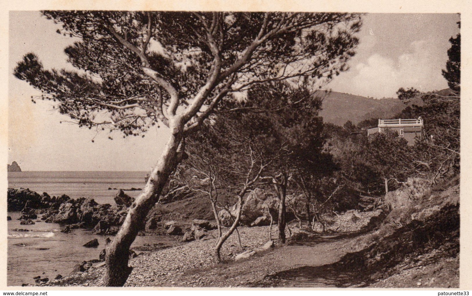 83 LA SEYNE SUR MER FABREGAS LA VERNE CHEMIN DES DOUANIERS CLICHE UNIQUE - La Seyne-sur-Mer