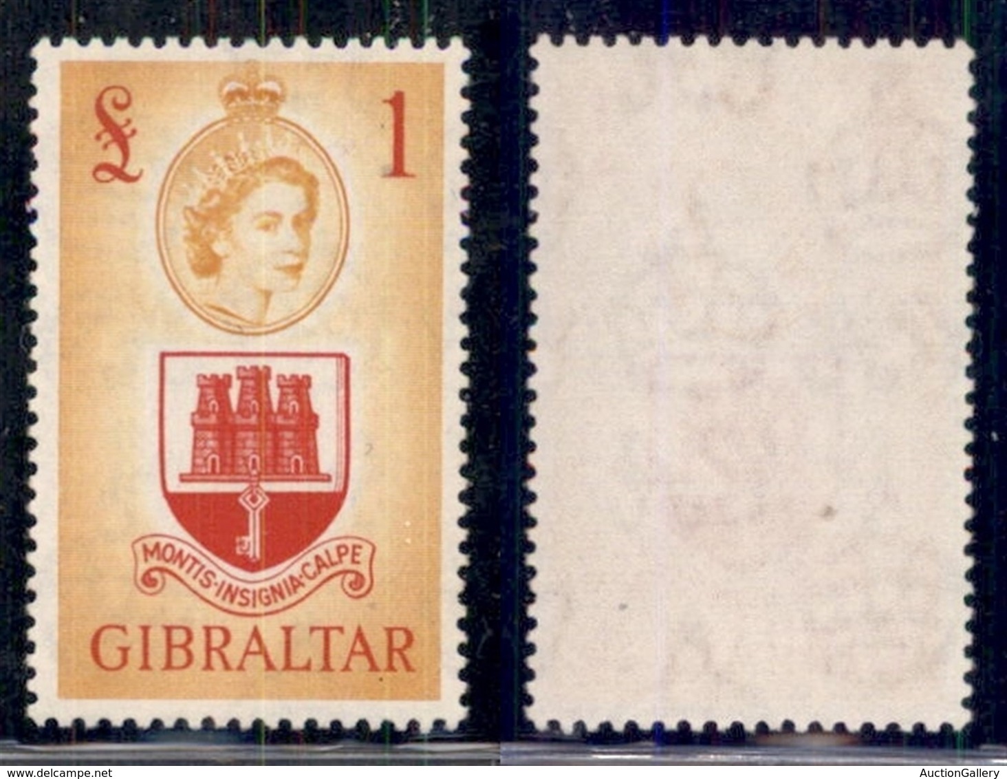 GIBILTERRA - 1953 - 1 Sterlina Elisabetta II (147) - Gomma Integra (75) - Other & Unclassified