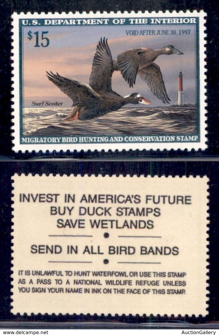 STATI UNITI D'AMERICA - Dipartimento Dell'interno - 1996 - 15 Dollari Surf Scoter (RW63) - Gomma Integra - Other & Unclassified