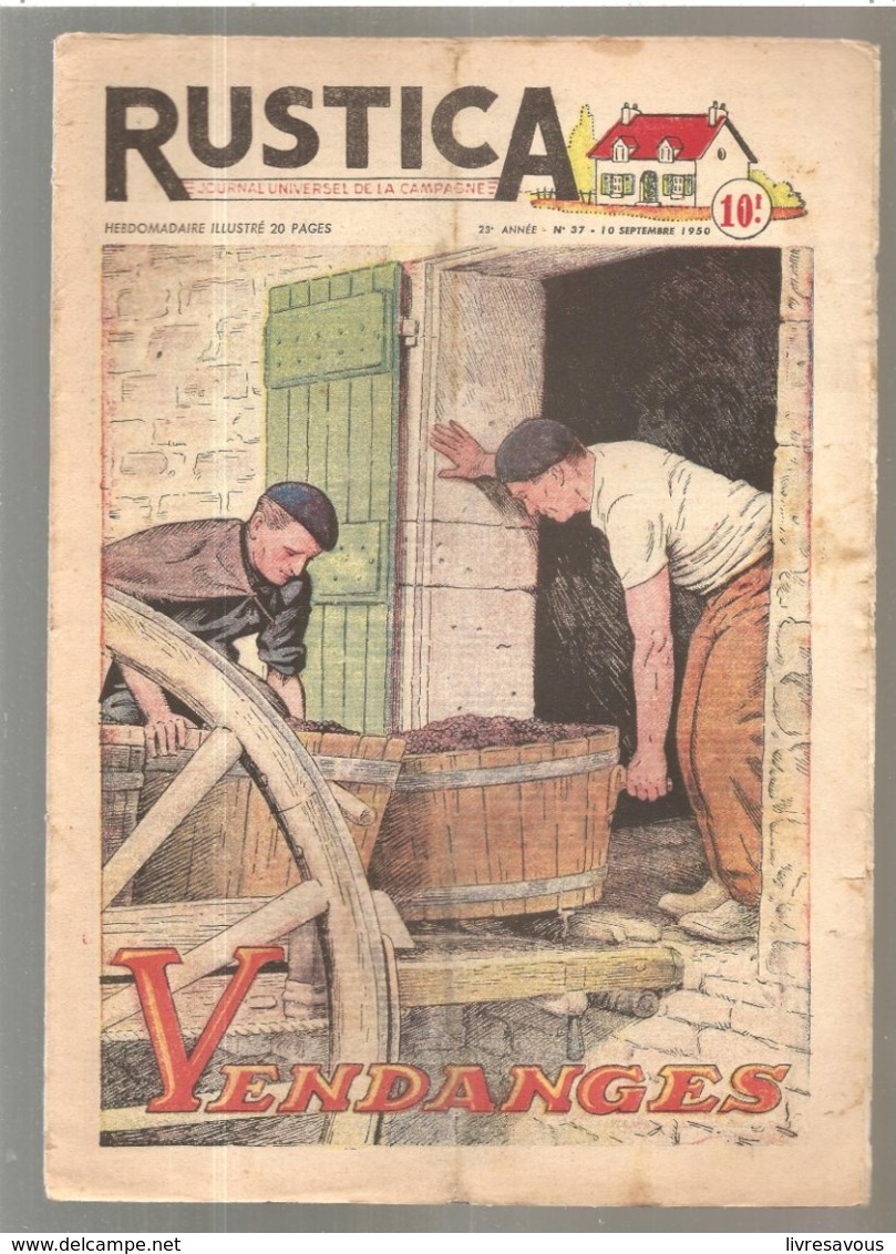 RUSTICA N°37 Du 15/09 1950 Vin: Vendanges - Culinaria & Vinos