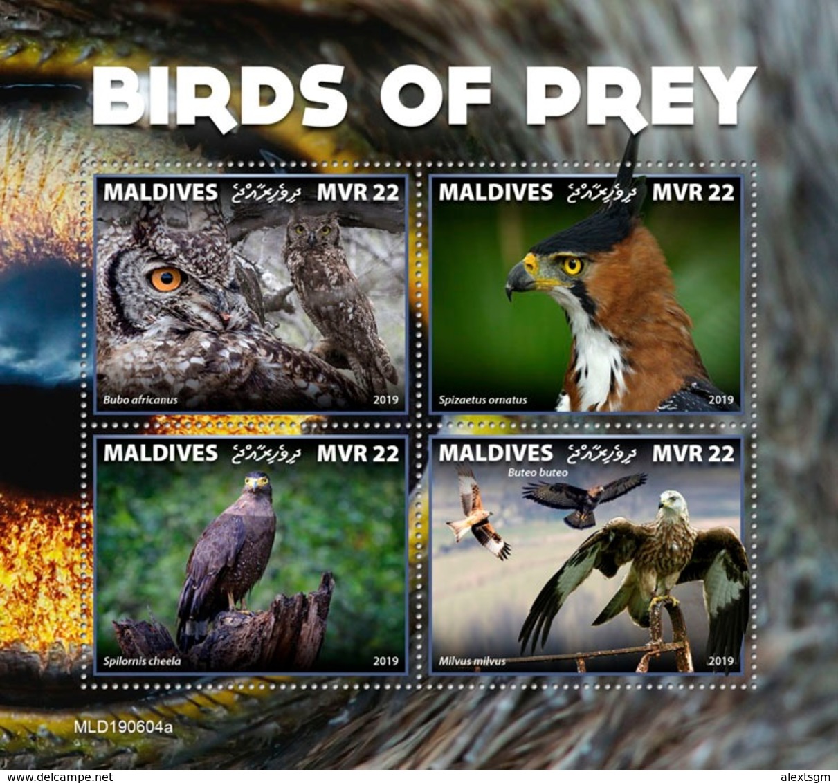 MALDIVES 2019 - Birds Of Prey, Owls S/S Official Issue - Búhos, Lechuza
