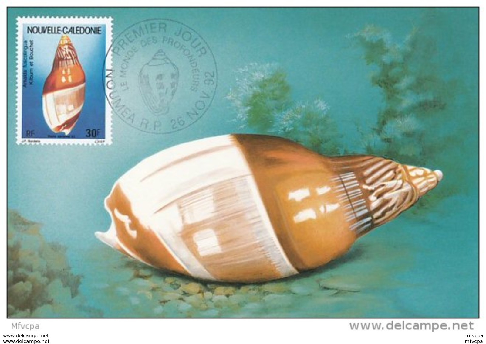 L4Q158 NOUVELLE CALEDONIE 1992 FDC Amalda Fuscolingua 30f Nouméa 26 11 1992 /Carte Max. - Coquillages