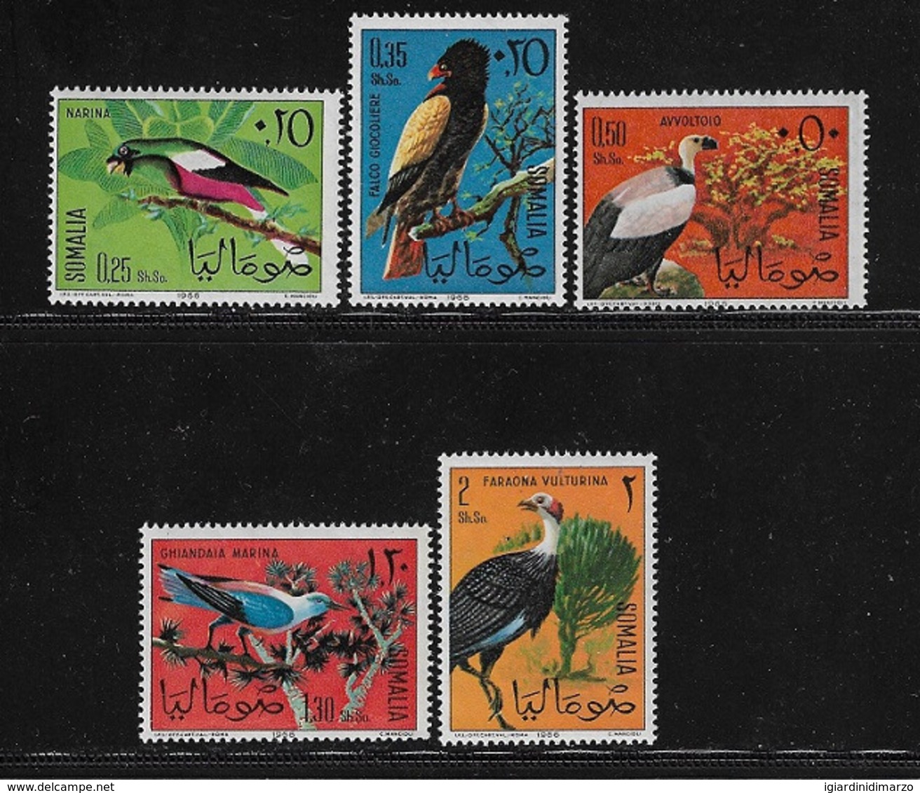 SOMALIA - 1966 - 5 VALORI NUOVI STL. - FAUNA - UCCELLI DIVERSI - IN OTTIME CONDIZIONI. - Somalië (1960-...)