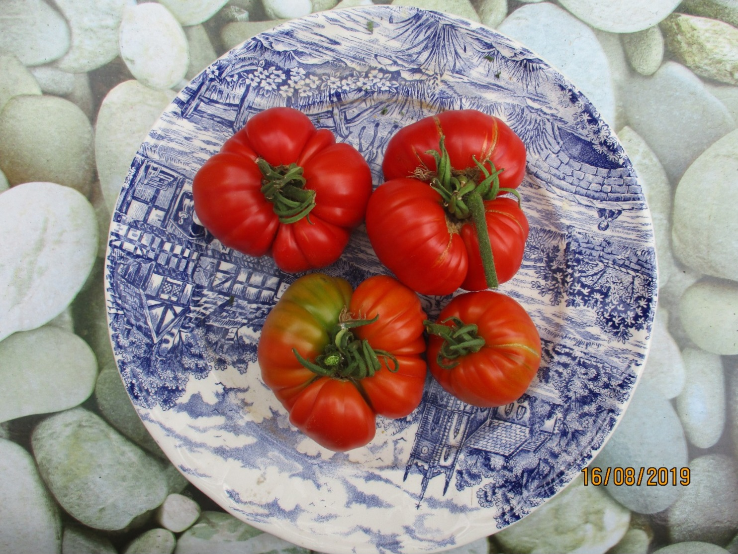 25 Graines De Tomates Marmande Cultivé Bio En Serre Et En Pleine Terre Sans Bouillie Bordelaise - Otros & Sin Clasificación