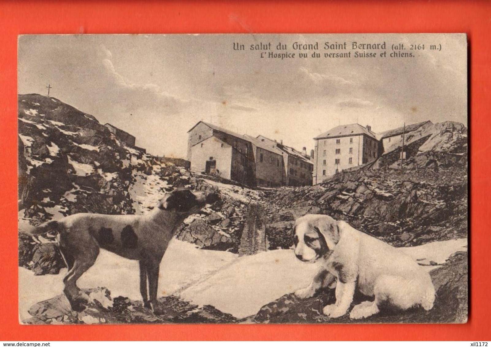 MTV-40  Un Salut Du Grand Saint-Bernard, Hospice Avec Photomontage De Deux Chiens. Circulé 1925 - Altri & Non Classificati