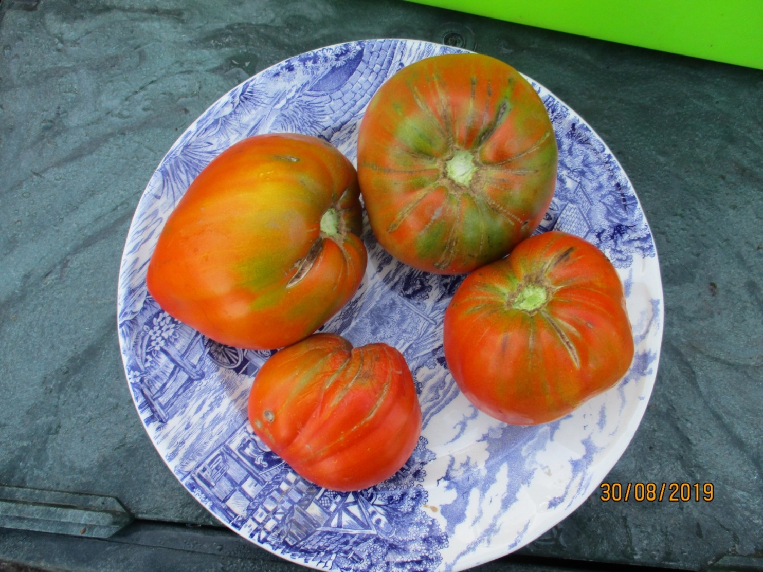 25 Graines De Tomates Coeur De Boeuf Cultivé Bio En Serre Et En Pleine Terre Sans Bouillie Bordelaise - Other & Unclassified