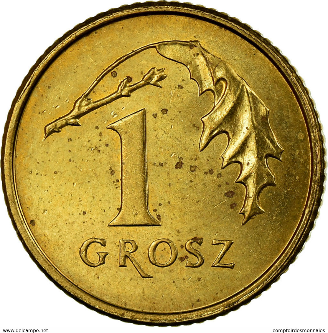 Monnaie, Pologne, Grosz, 2009, Warsaw, SUP, Laiton, KM:276 - Pologne