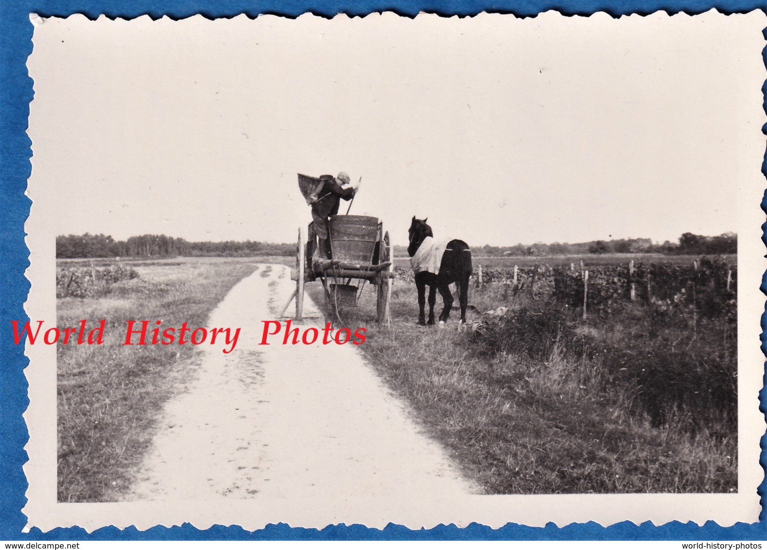 3 Photos Anciennes - SAINT OUEN Les VIGNES - Un Vigneron Au Travail - 1934 - RARE - Indre Et Loire Patrimoine Vigne Vin - Métiers