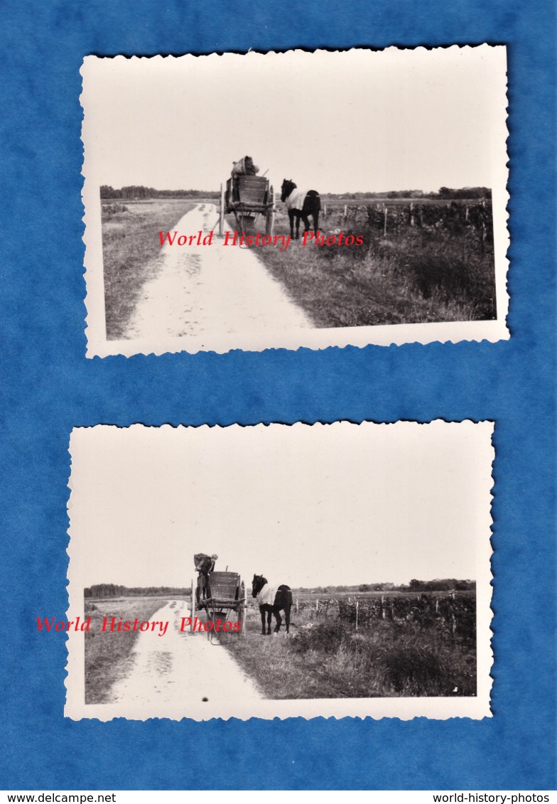 3 Photos Anciennes - SAINT OUEN Les VIGNES - Un Vigneron Au Travail - 1934 - RARE - Indre Et Loire Patrimoine Vigne Vin - Métiers