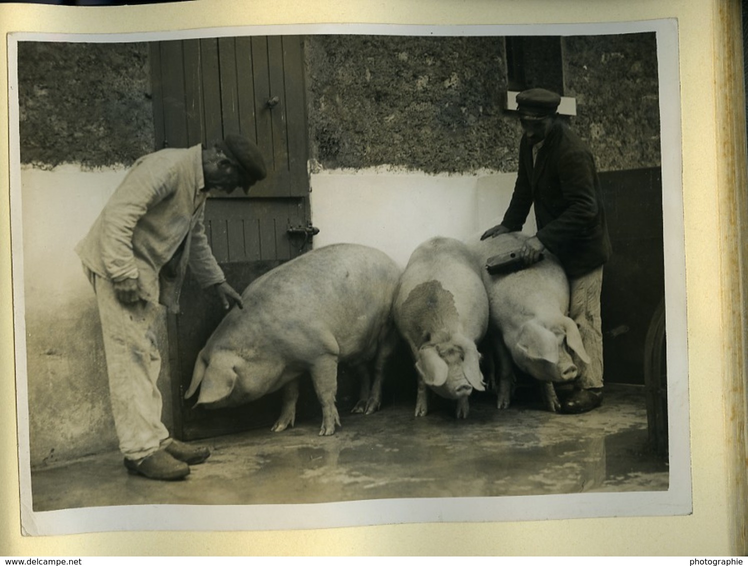 France Maison de Répression de Nanterre Album Dépôt de Mendicité 28 Photos Album 1921