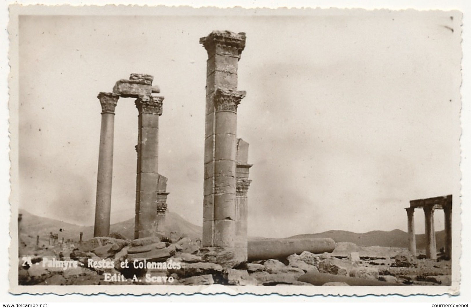 CPSM - PALMYRE (Syrie) - Restes Et Colonnades - Syria