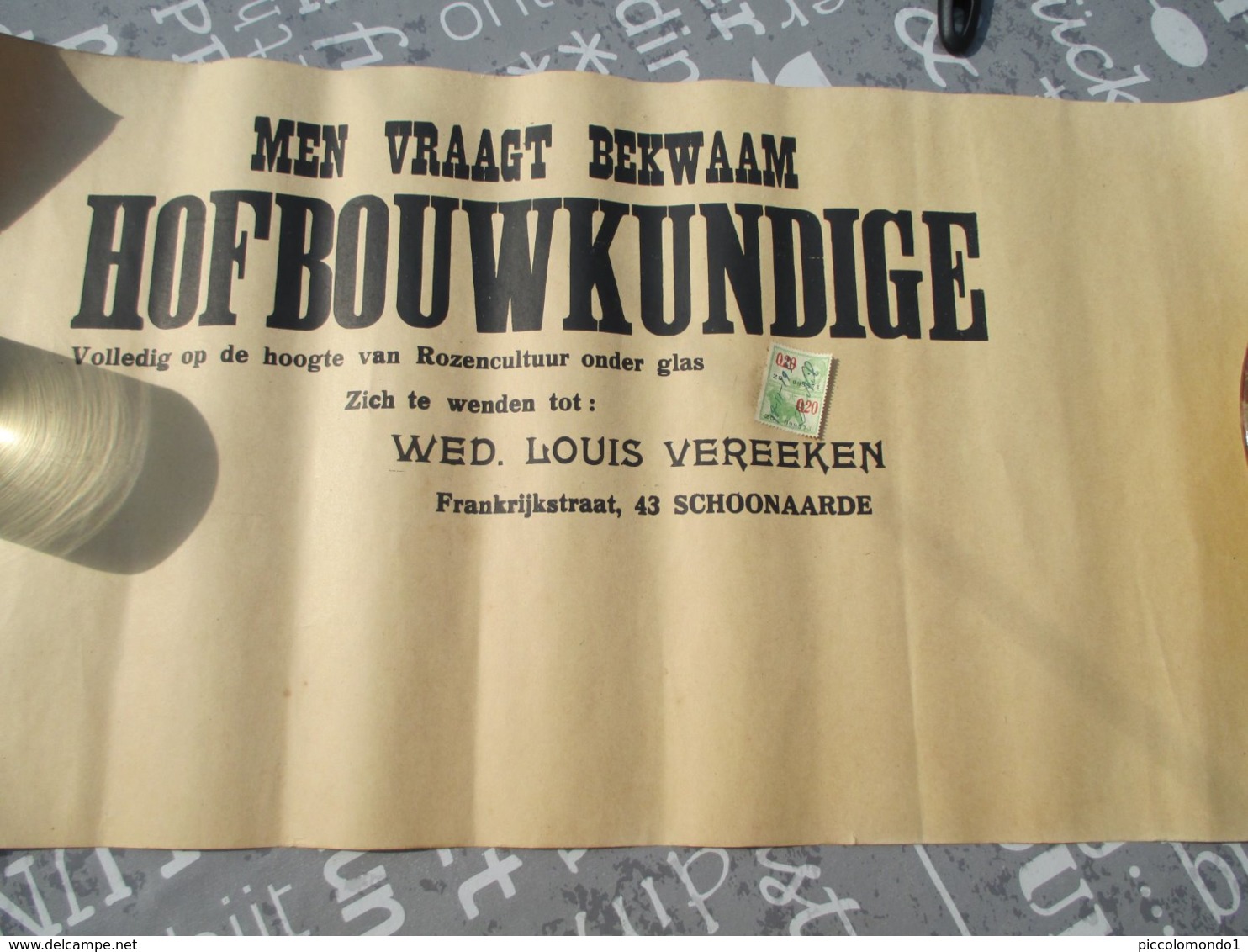 Schoonaarde 1933 Rozencultuur Onder Glas Hofbouwkundige - Plakate