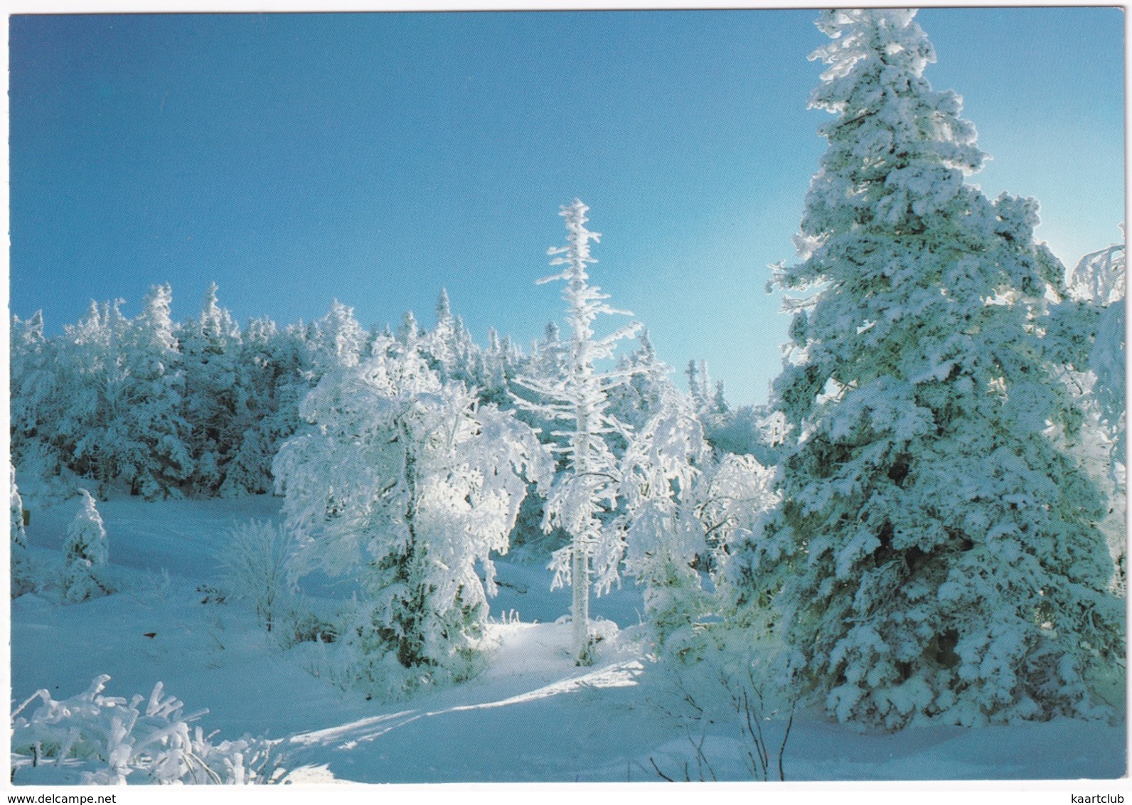 Winter Scene - Scene D'hiver - Canada - Zonder Classificatie