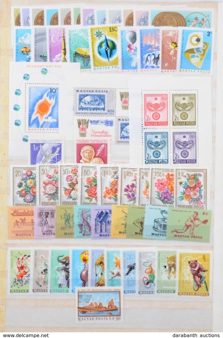 ** 1965-1967 Szépen Rendezett Postatiszta Gyűjtemény 8 Lapos A4-es Berakóban, Barna Borítóval - Sonstige & Ohne Zuordnung