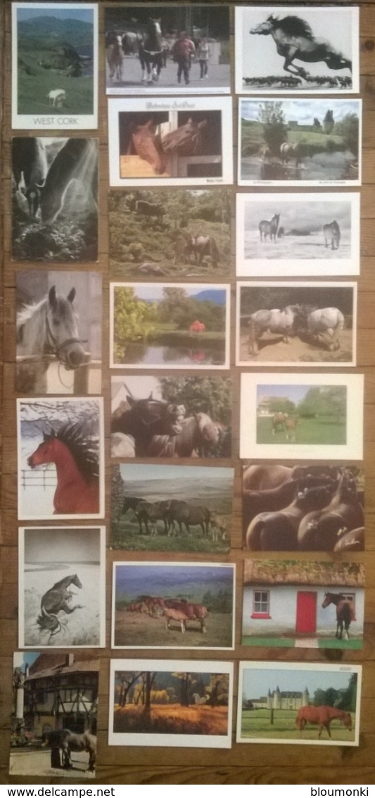 Lot De 32 Cartes Postales / Animaux / Cheval CHEVAUX - Chevaux