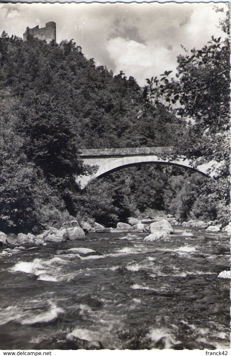 48. Chateau De La Garde. Carte Moderne. Cachet Colonie De Vacances Saint Léger Du Malzieu - Autres & Non Classés