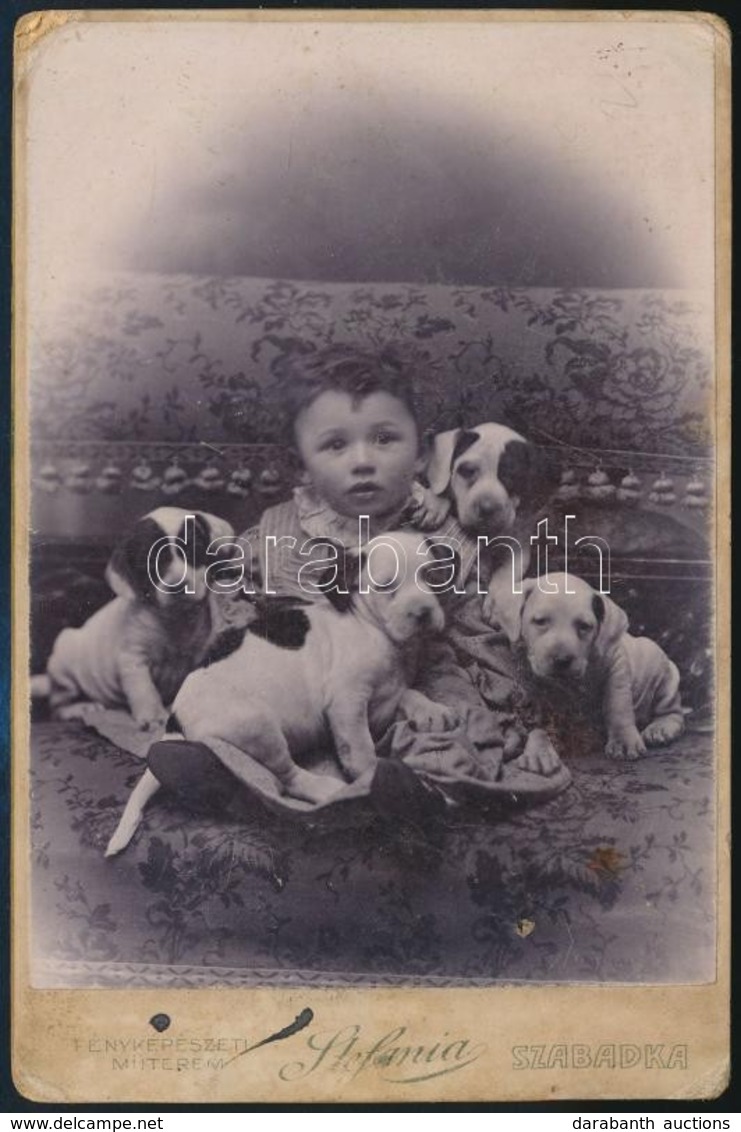 Cca 1900 Zolika 4 Kiskutyával, Kabinetfotó Méretű, Vintage Fénykép, Viseltes állapotban, 16x10,5 Cm - Andere & Zonder Classificatie