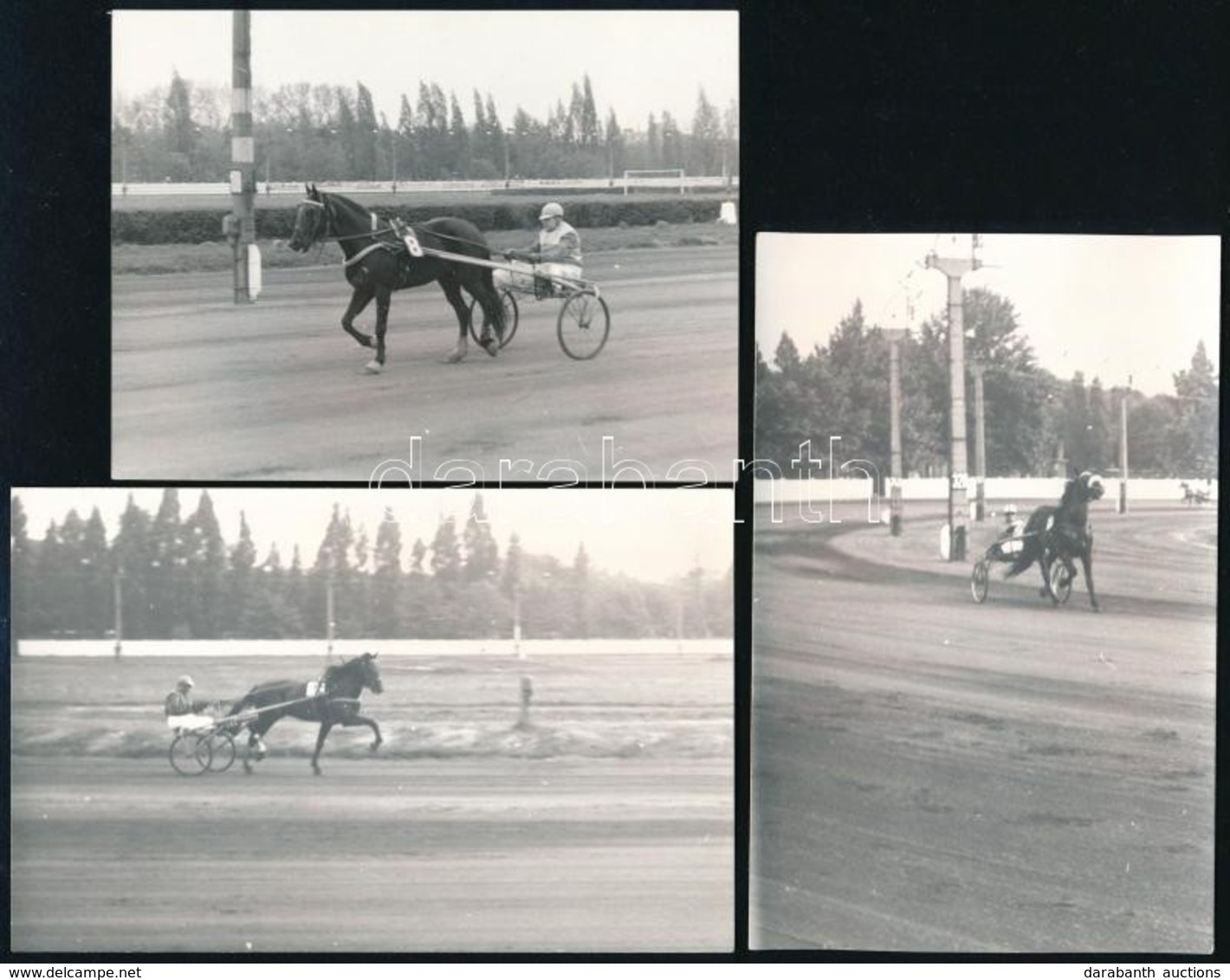 Cca 1975 Tóbiás, Tájfun és Zsugori Versenylovak, 3 Db Fotó, Hátuljukon Feliratozva, 9×14 Ill. 9×12 Cm - Andere & Zonder Classificatie