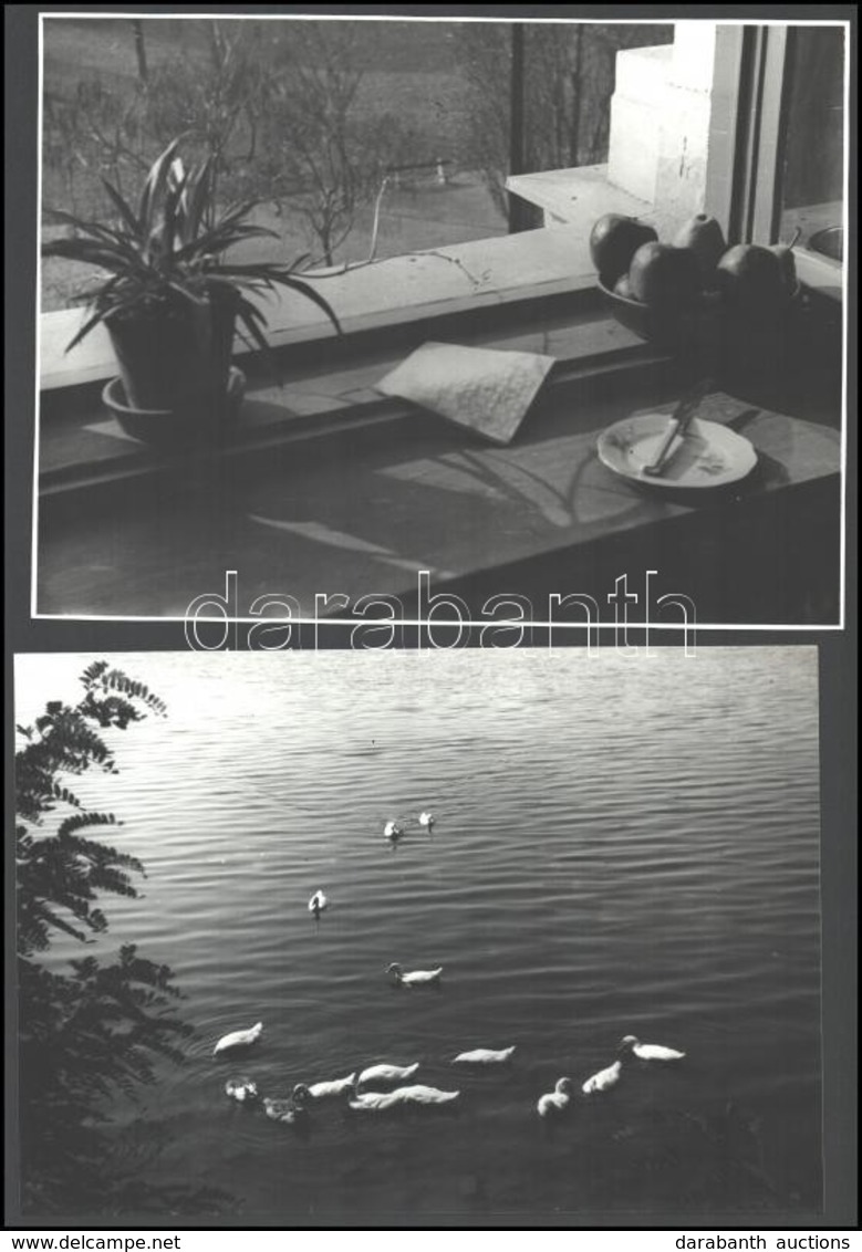 Cca 1970 Vegyes Fotó Tétel: Csendélet, életképek, Utazás, Stb., összesen 12 Db Nagyméretű Fotó, Egy Részük Hátulján Feli - Sonstige & Ohne Zuordnung