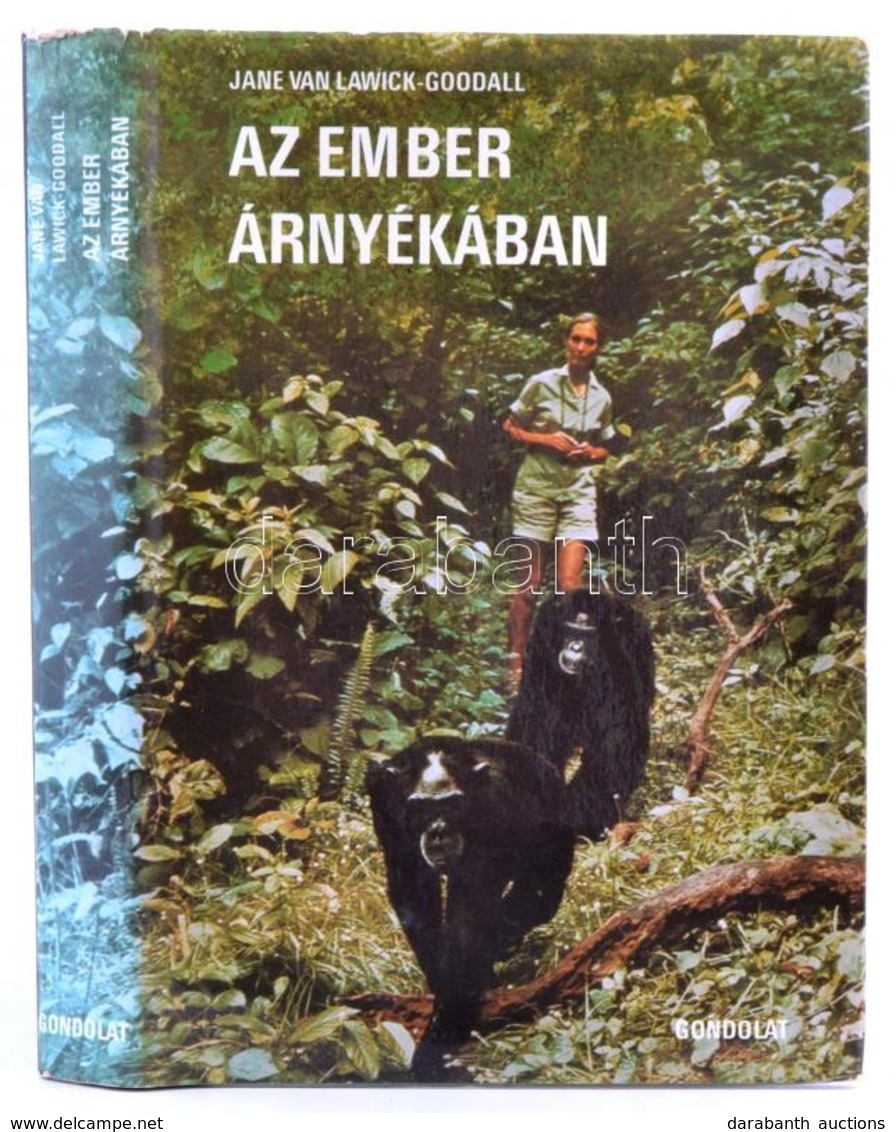 Lawick-Goodall, Jane Van: Az Ember árnyékában. Bp., 1980, Gondolat. Vászonkötésben, Papír Védőborítóval, Jó állapotban. - Sin Clasificación