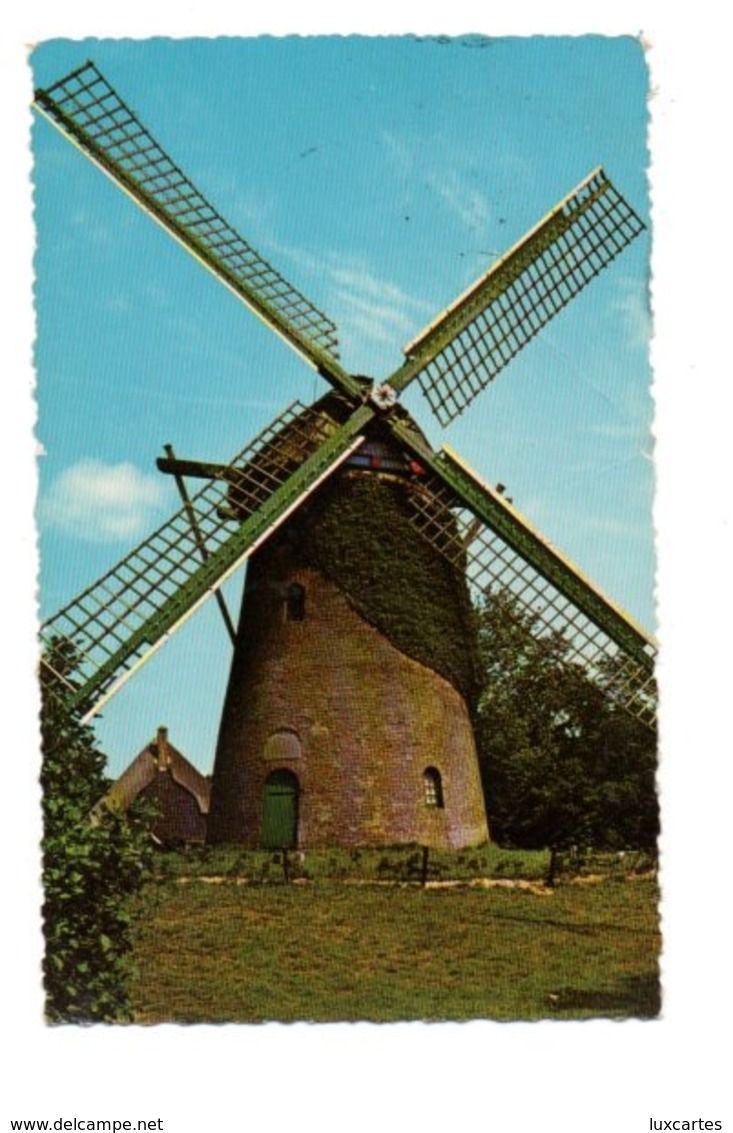 SCHOORL. OUDE MOLEN. - Schoorl