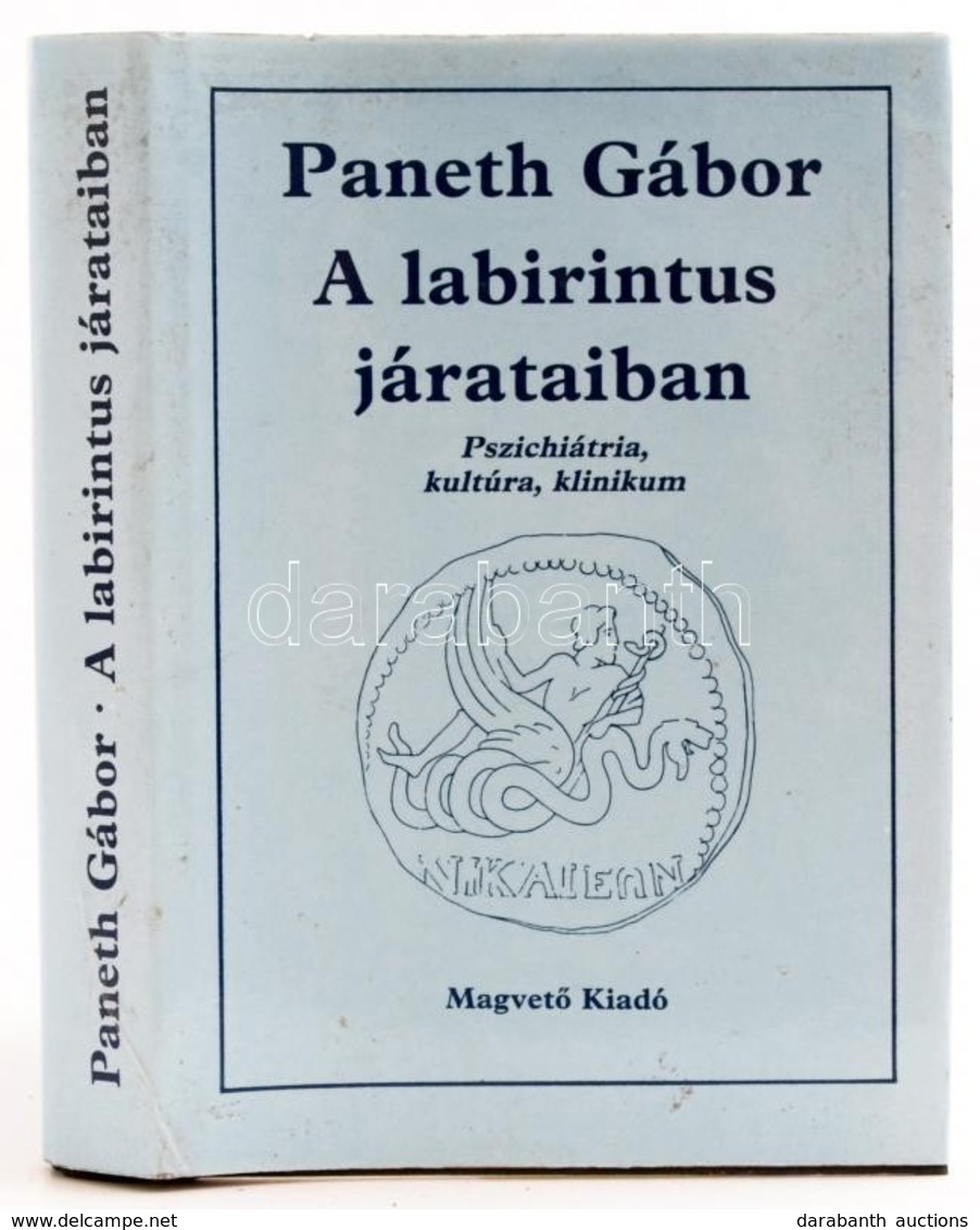 Paneth Gábor: A Labirintus Járataiban. Pszichiátria, Kultúra, Klinikum. Bp.,1985,Magvető. Kiadói Egészvászon-kötés, Kiad - Ohne Zuordnung
