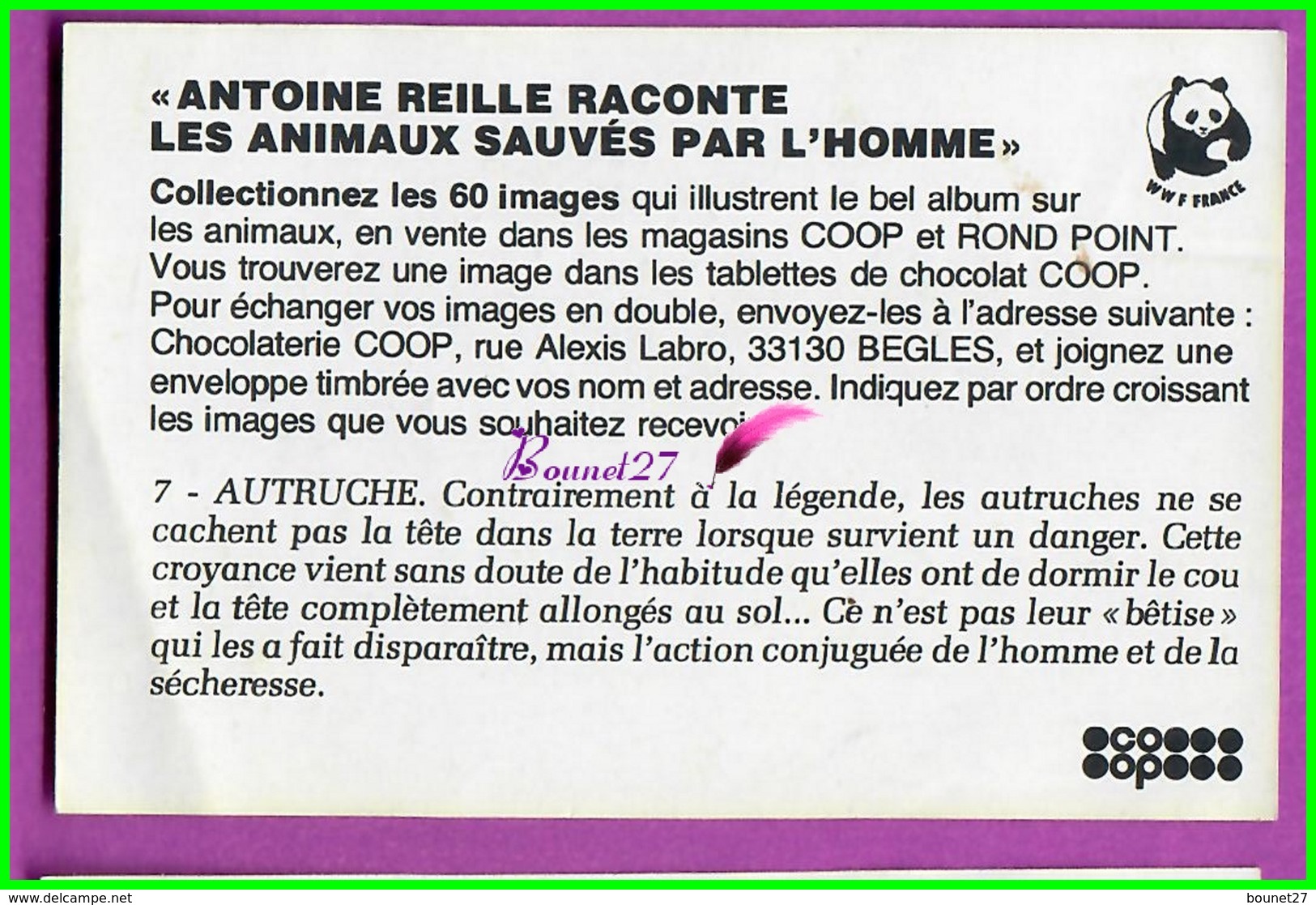 Image Chromo Chocolat COOP Antoine Reille Raconte Animaux WWF N° 7 Autruche - Other & Unclassified