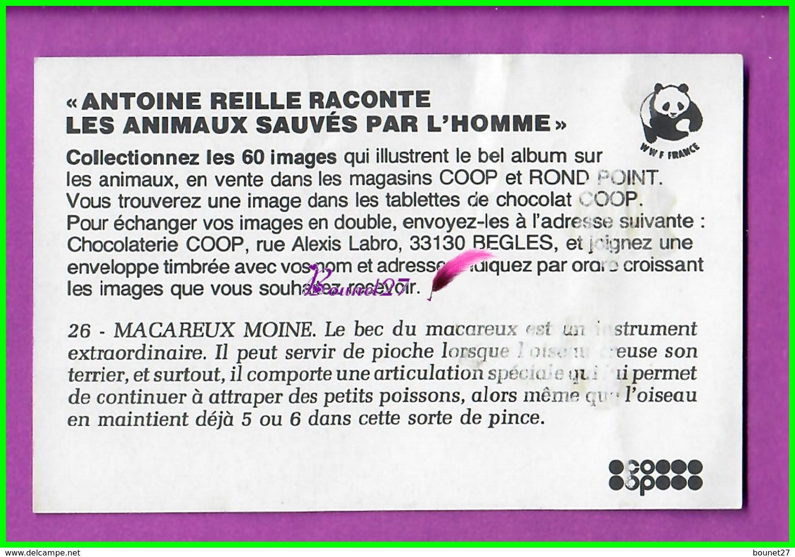 Image Chromo Chocolat COOP Antoine Reille Raconte Animaux WWF N° 26 Macareux Moine - Other & Unclassified