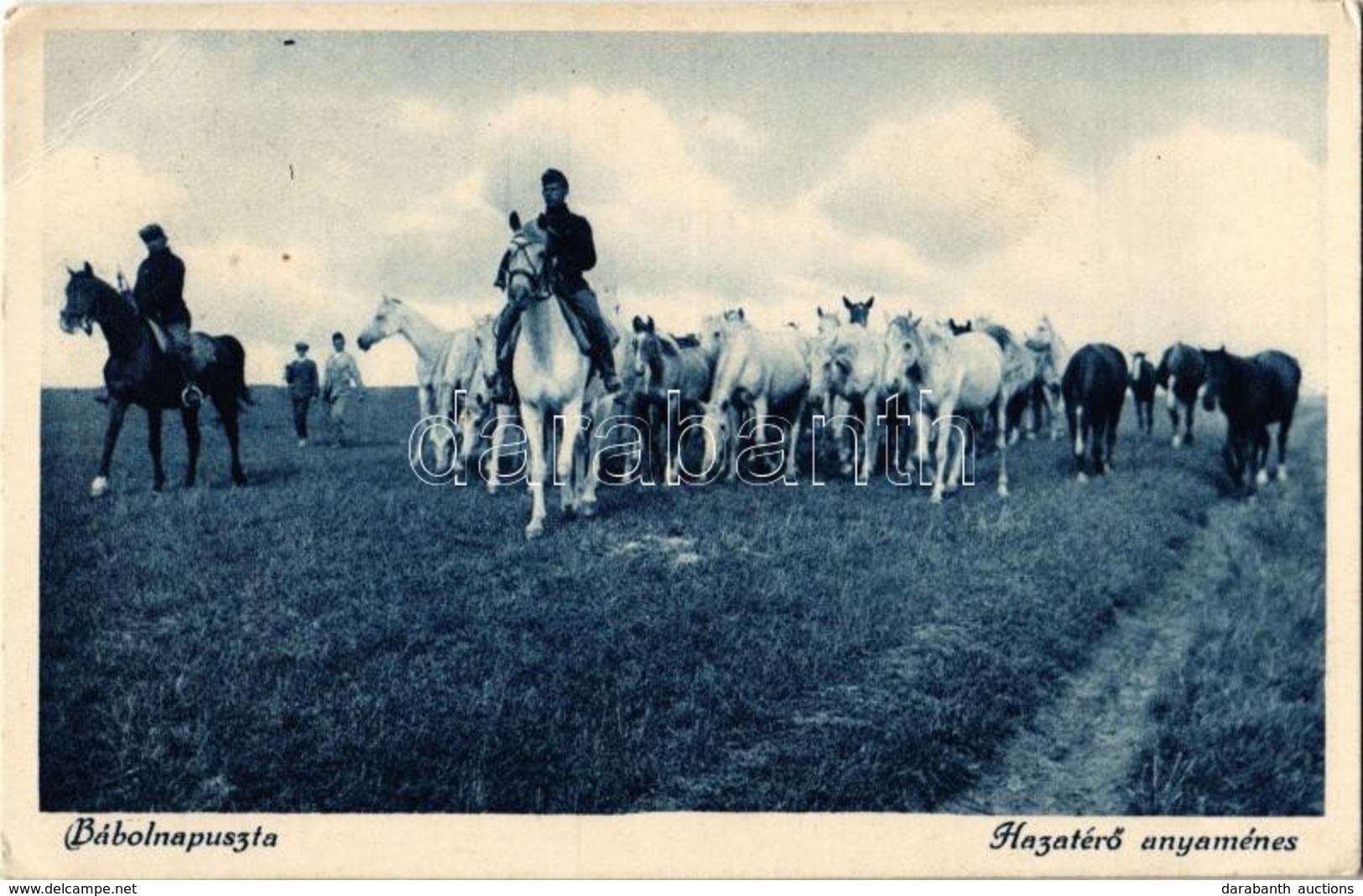 T2/T3 1934 Bábolna, Bábolnapuszta; Hazatérő Anyaménes. Műszaki Foto Ludwig (EK) - Ohne Zuordnung