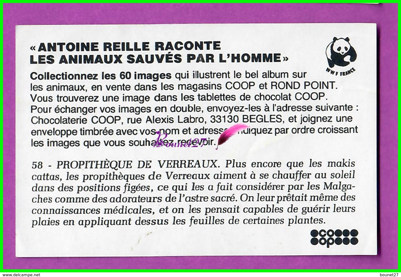 Image Chromo Chocolat COOP Antoine Reille Raconte Animaux WWF N° 58 Propithèque De Verreaux  Singe - Altri & Non Classificati