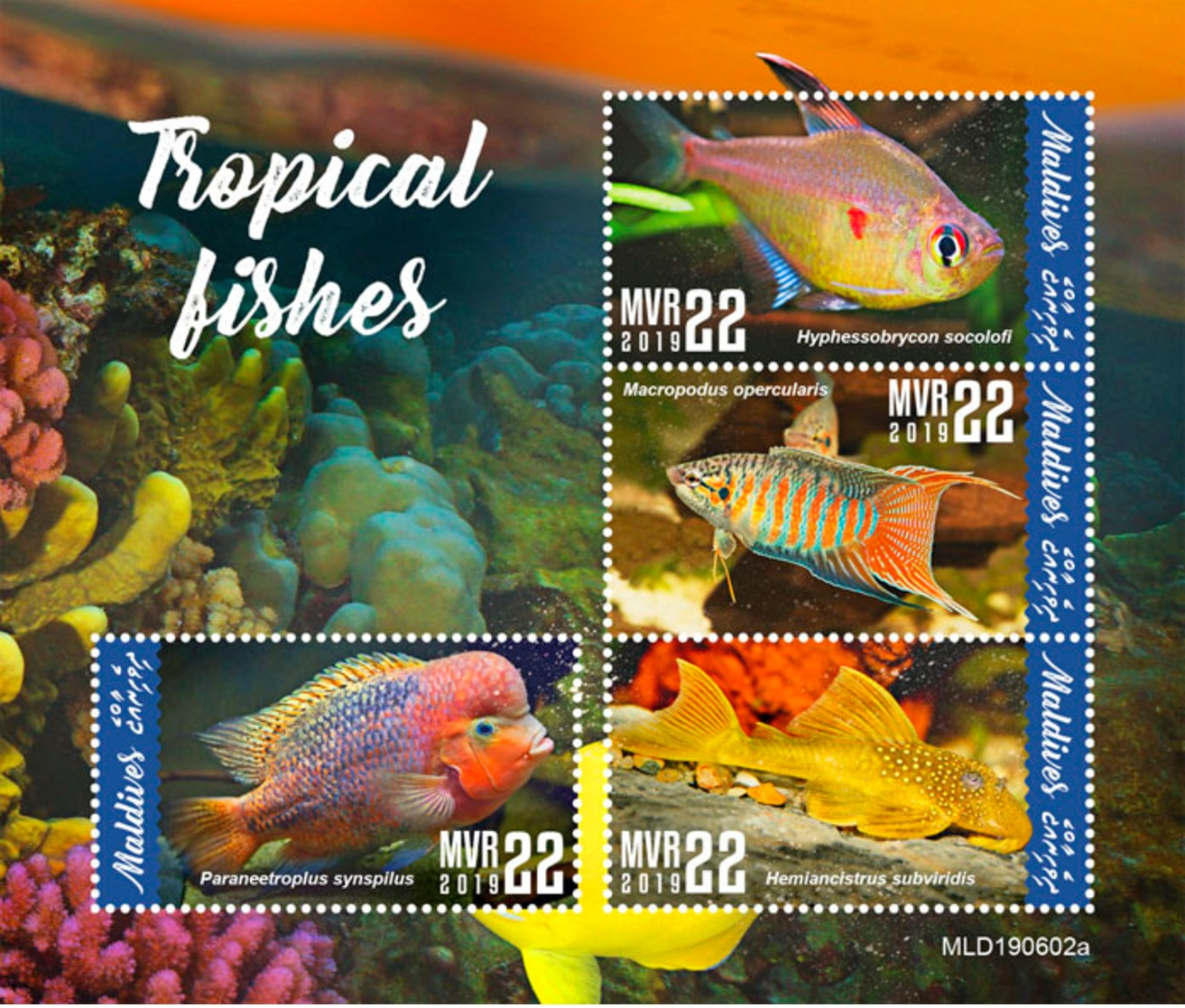 Maldives 2019 Tropical Fishes Fish S/S MLD190602 - Other & Unclassified