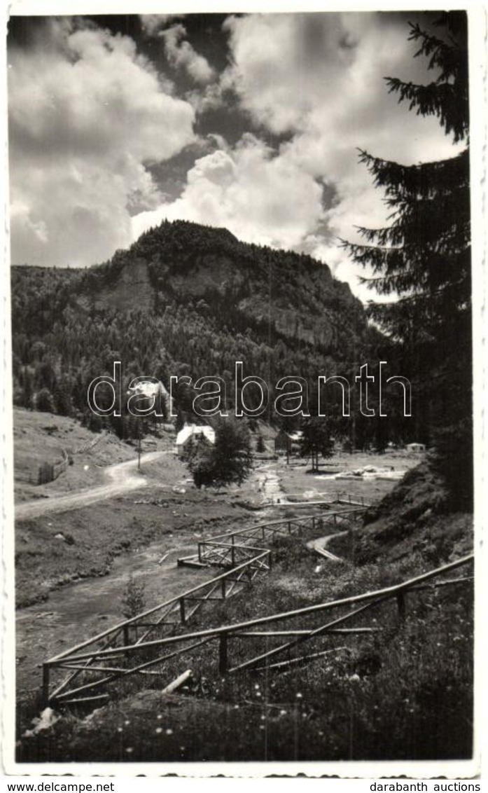 * T2 Gyilkos-tó Környéke, Lacul Rosu, Erdő / Forest - Ohne Zuordnung