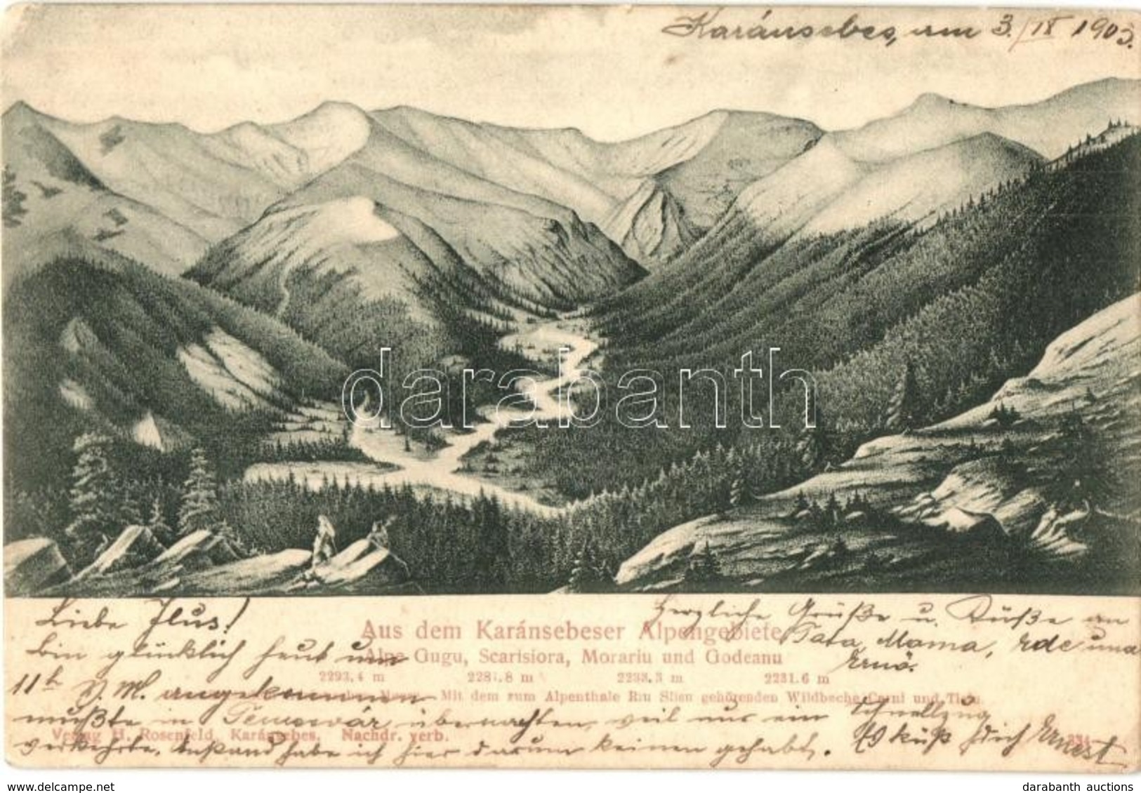 T2/T3 1903 Karánsebes, Caransebes; Alpengebiete, Alpe Gugu, Scarisiora, Morariu Und Godeanu / Mountain Peaks (EK) - Non Classés