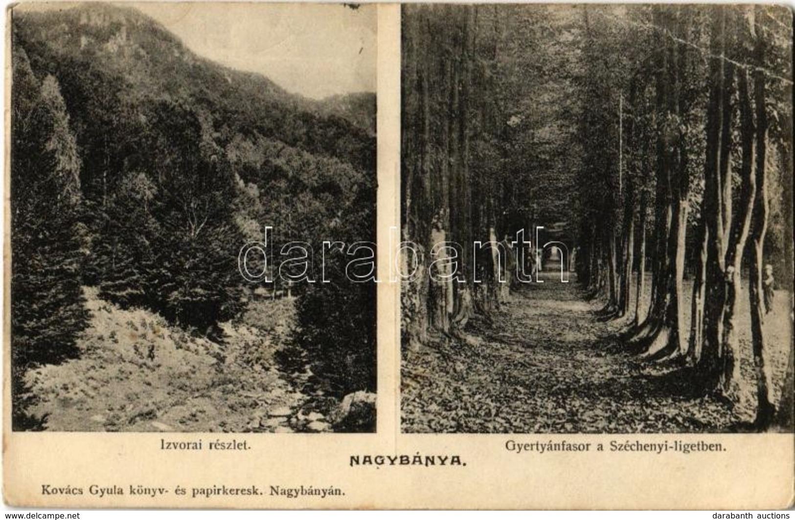 * T3 1907 Nagybánya, Baia Mare; Izvora (Forrásliget), Gyertyán Fasor A Széchenyi Ligetben. Kovács Gyula Kiadása / Valley - Zonder Classificatie