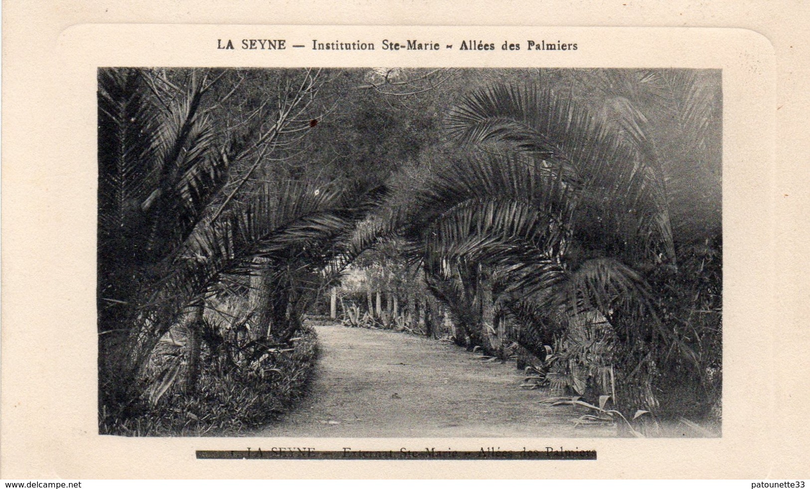 83 LA SEYNE SUR MER INSTITUTION STE MARIE ALLEE DES PALMIERS CARTE GAUFREE - La Seyne-sur-Mer