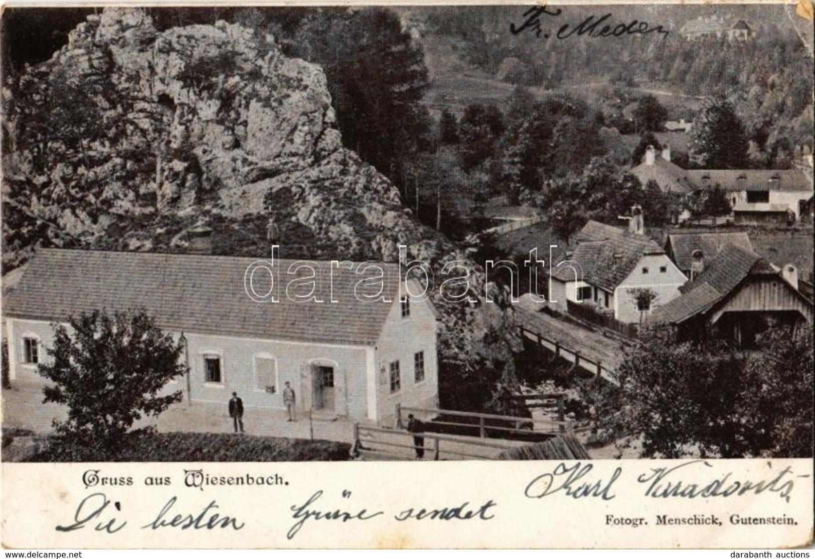 T3 1902 Wiesenbach,  General View. Fotogr. Menschick (szakadás / Tear) - Zonder Classificatie
