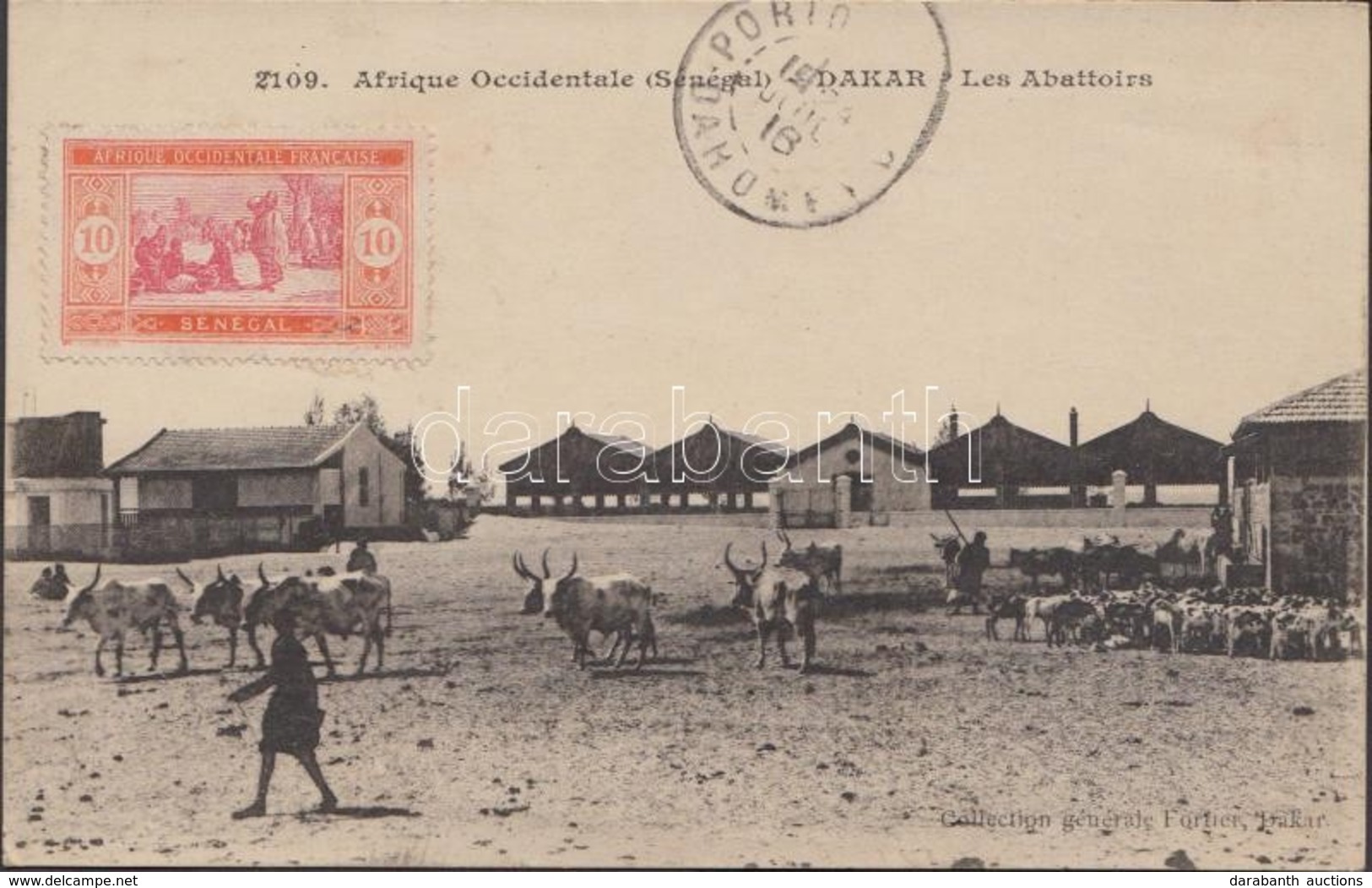 T2 1916 Dakar, Les Abattoirs / Slaughterhouses, Cattle. TCV Card - Unclassified