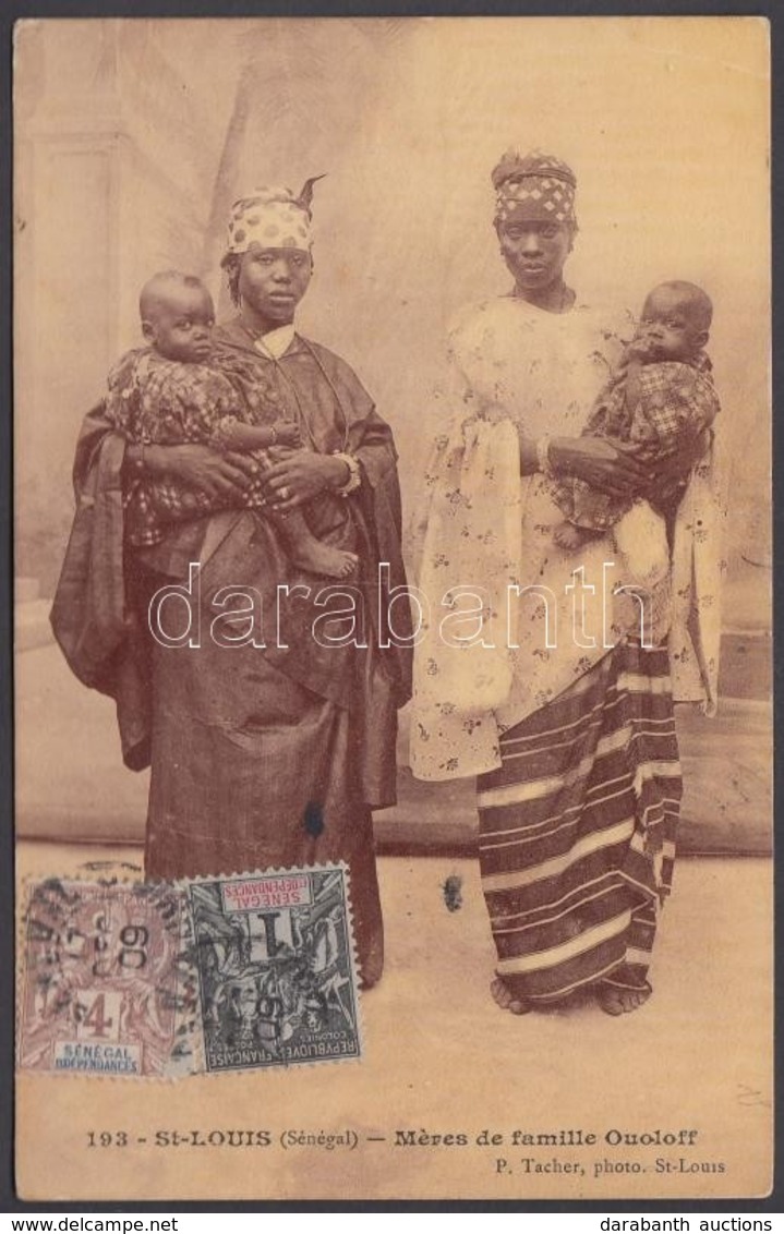T2/T3 1909 Saint-Louis, Méres De Famille Ouoloff / Ouoloff Mothers And Children, Senegalese Folklore. TCV Card (EK) - Sin Clasificación